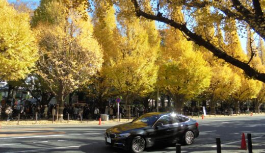 青山（Aoyama）